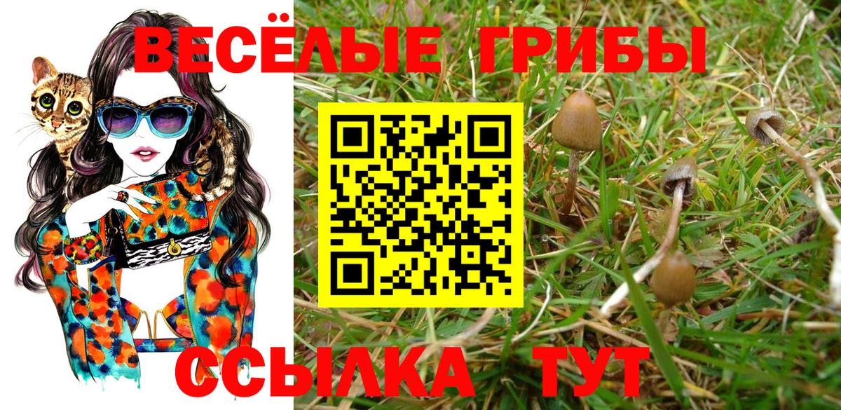 Галлюциногенные грибы мицелий Менделеевск