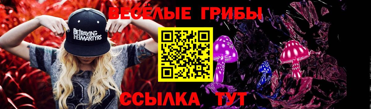 Менделеевск  Галлюциногенные грибы Psilocybine cubensis  Вход с VPN 